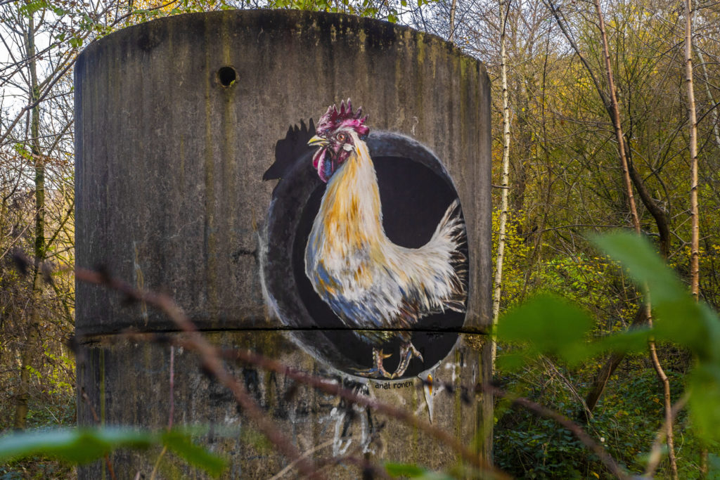 proud cock