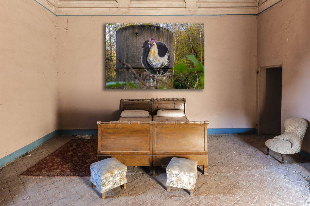 proud cock – Bild 2