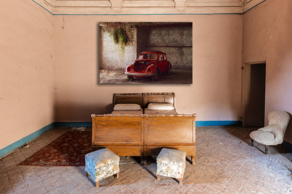red beetle – Bild 2