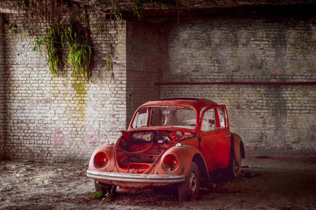 red beetle