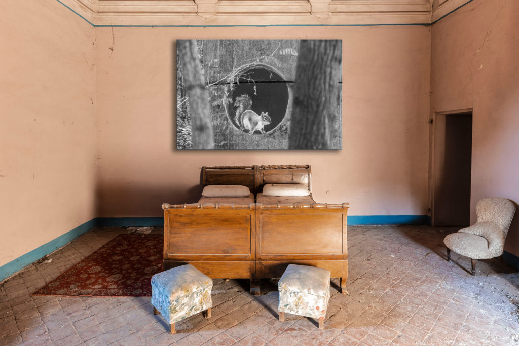 forage – Bild 3