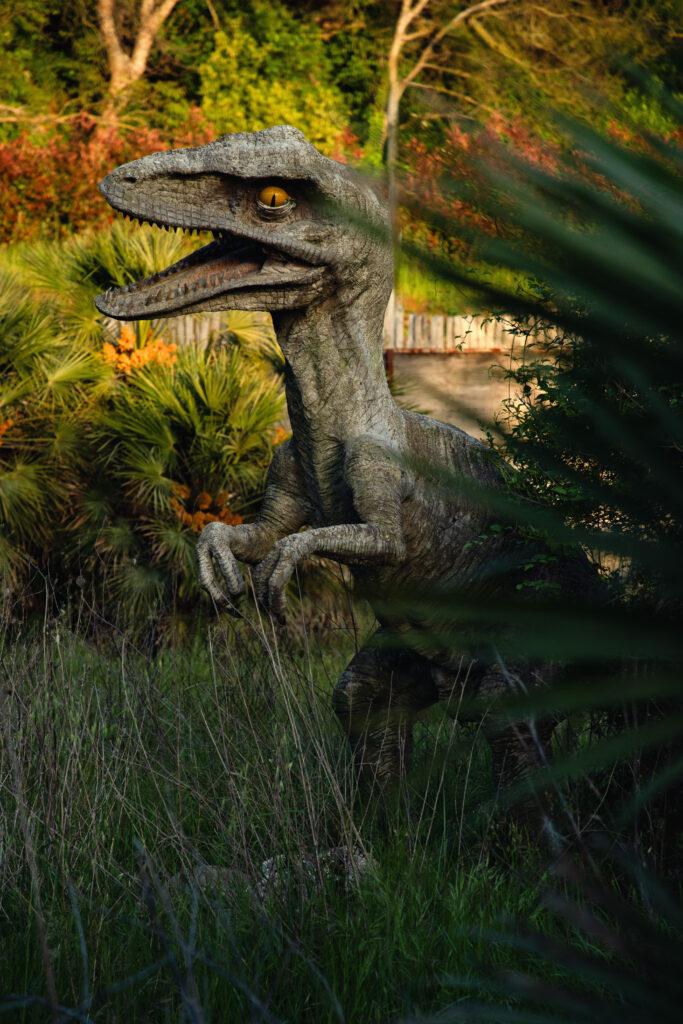 Torquay Raptor Statue velociraptor Kunstdruck Italien