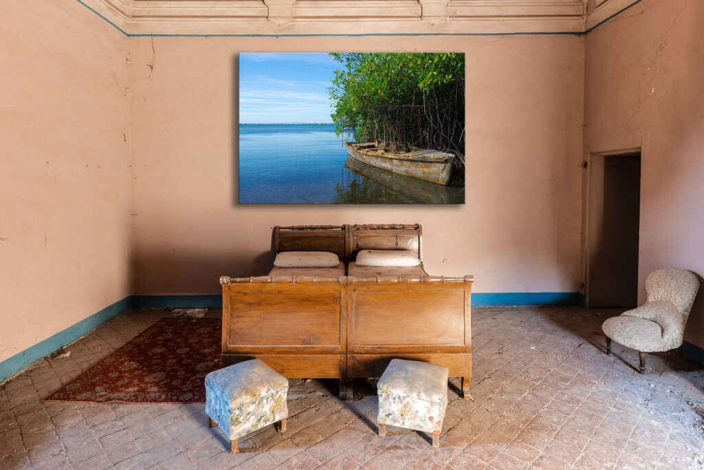 held by mangroves – Bild 2
