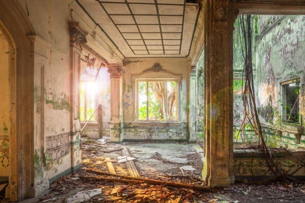 where roots hold memories