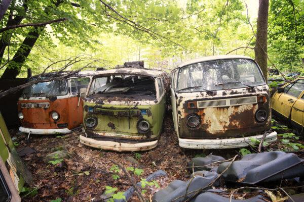 Bullinest mit drei verlassenen VW T2 Bullis auf einem Autofriedhof bei New York